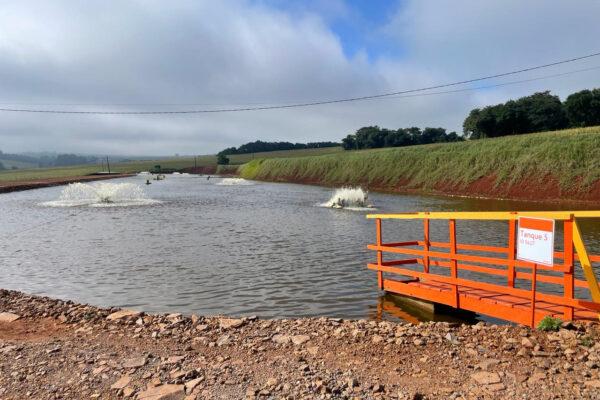 Adapar inicia projeto de biosseguridade na produção de tilápia com instituto da Noruega
