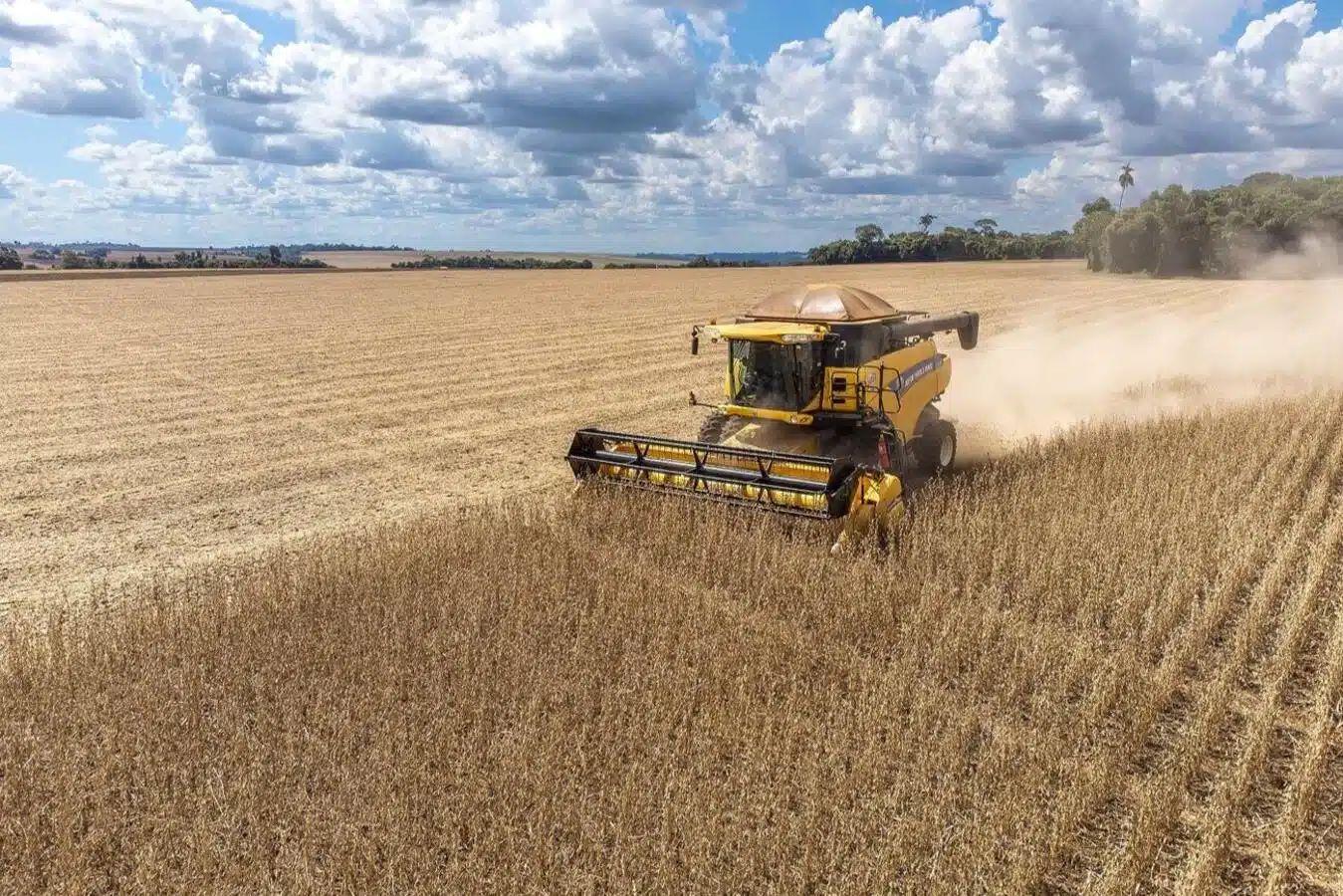 Semana do Agricultor começa em Toledo com programação até 4 de agosto