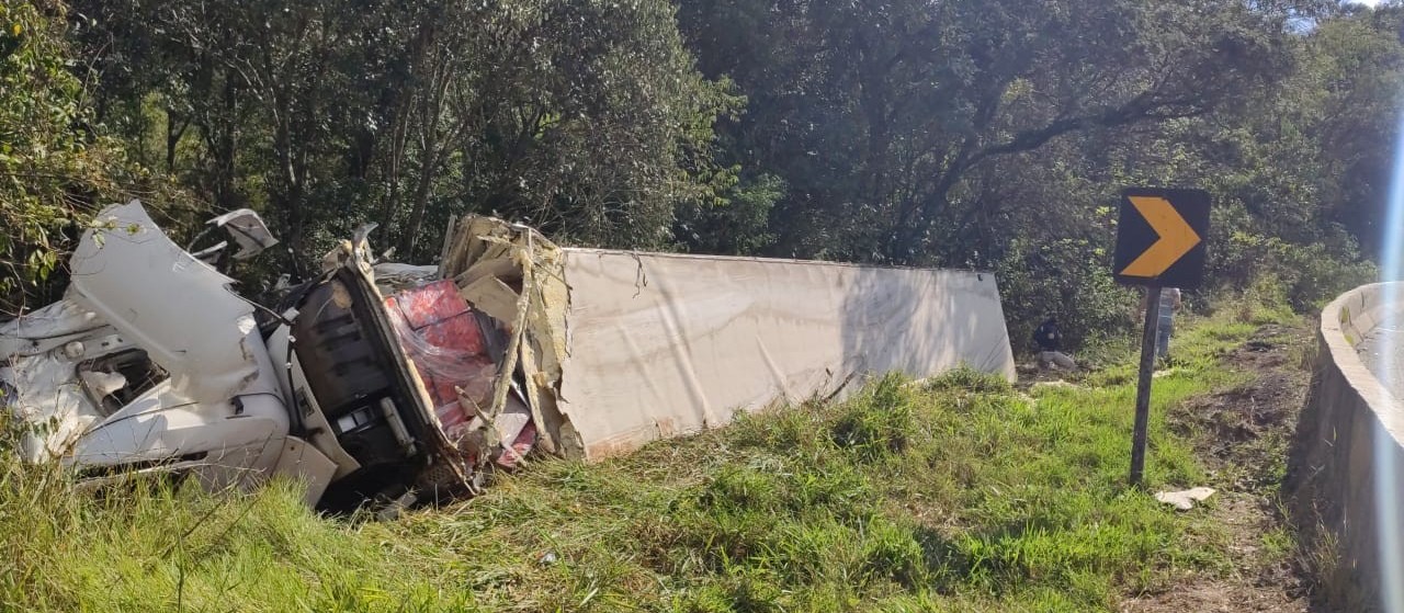 Caminhão carregado com frango é saqueado na BR-277