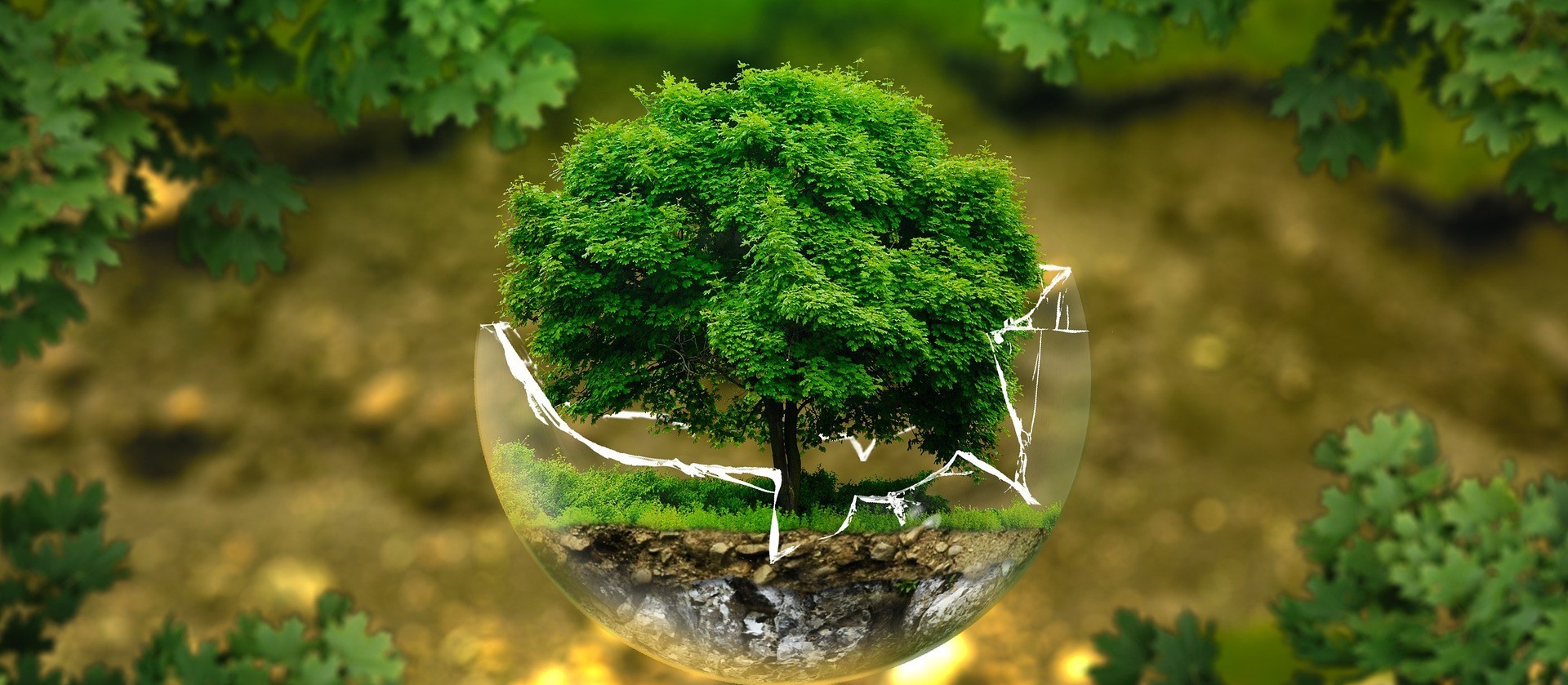 Atitudes no dia a dia podem diminuir impactos ambientais