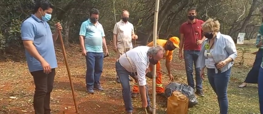 Dia da Árvore é comemorado com plantio de ipês no Lago Municipal