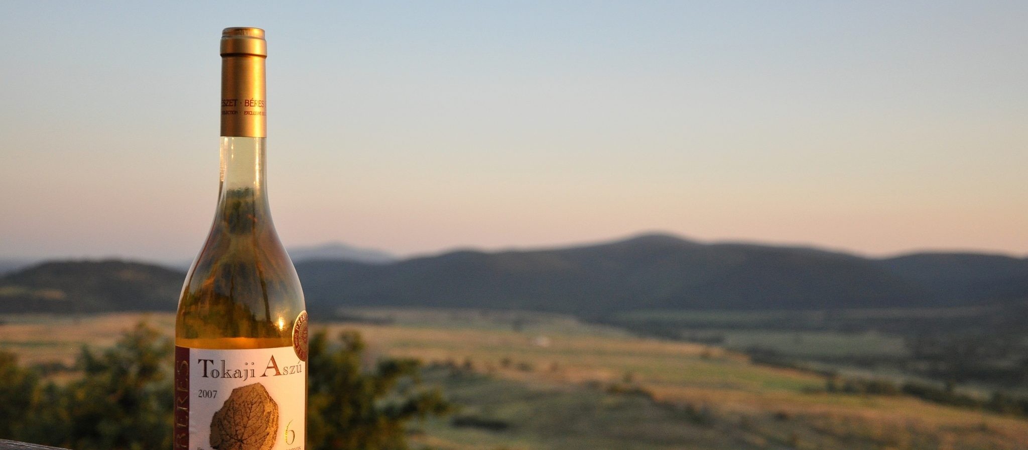 Conheça o vinho húngaro Tokaji 