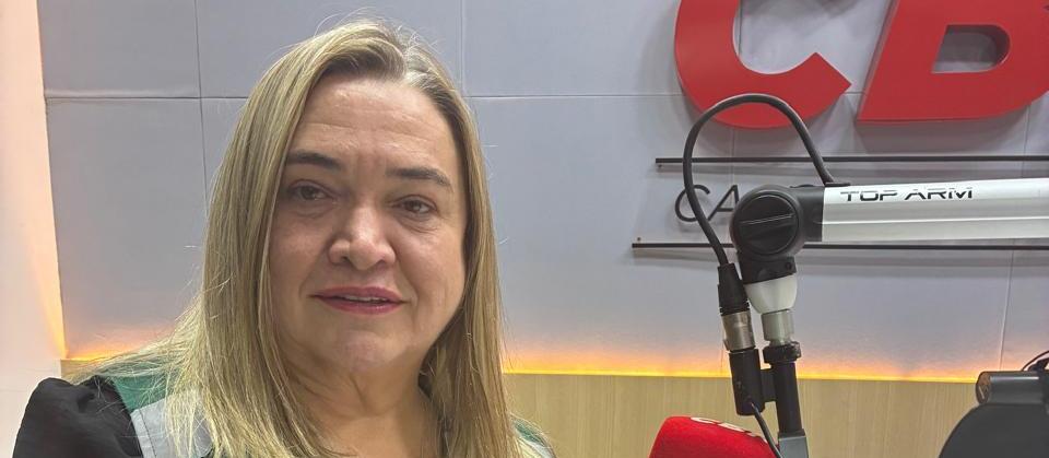 Saúde realiza mais de 400 mil vistorias em 2025 para combate da dengue