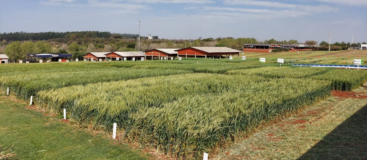 Show Rural Coopavel de Inverno começa neste dia 23