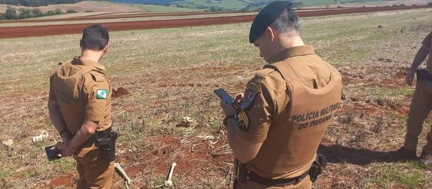 Ossada é encontrada em Santa Tereza do Oeste 