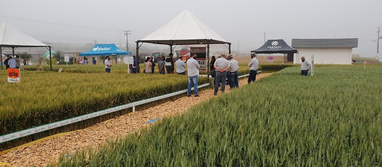 Começa nesta terça edição de inverno do Show Rural