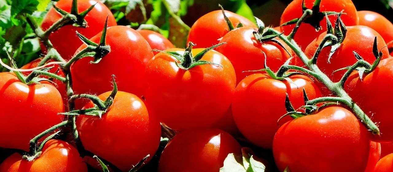 Limão e tomate são os itens mais caros nesta semana 