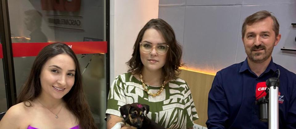 Foz Tintas cria cores inspiradas em cães de abrigo para apoiar causa animal