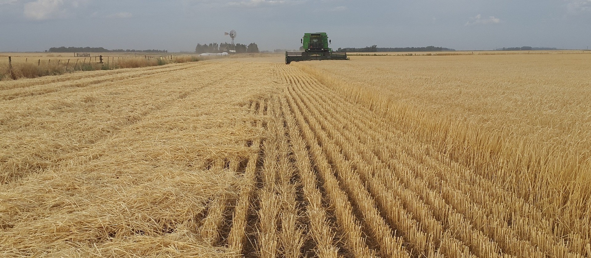 Contratações do crédito rural chega a R$ 151 bilhões até outubro