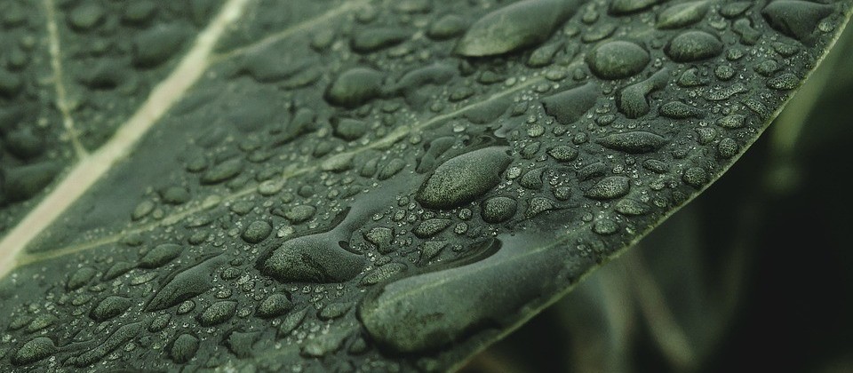 Clima quente com possibilidade de chuvas ocasionais 