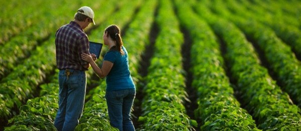  Decreto permite aos técnicos agrícolas o desenvolvimento de projetos sem limite de valor