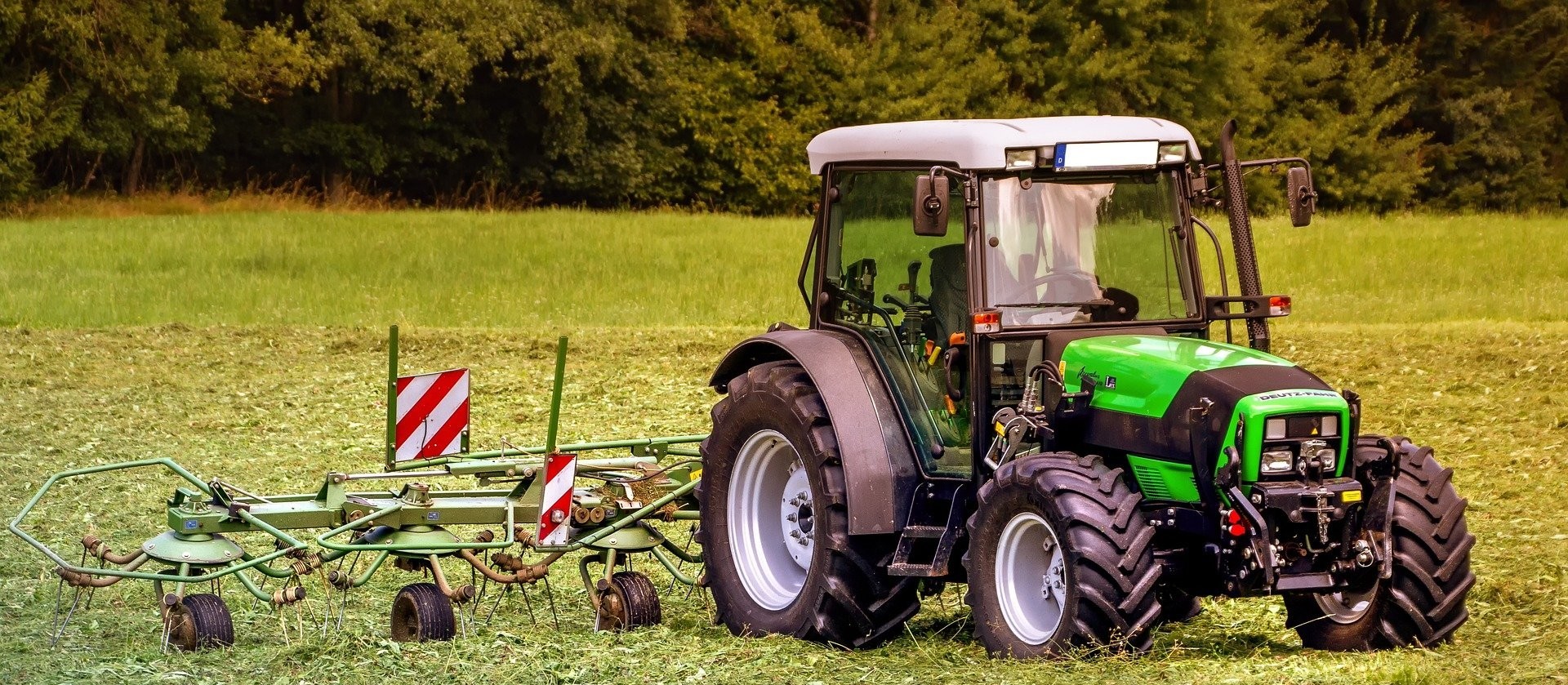 Confira o Mercado Agrícola desta sexta-feira (18) 