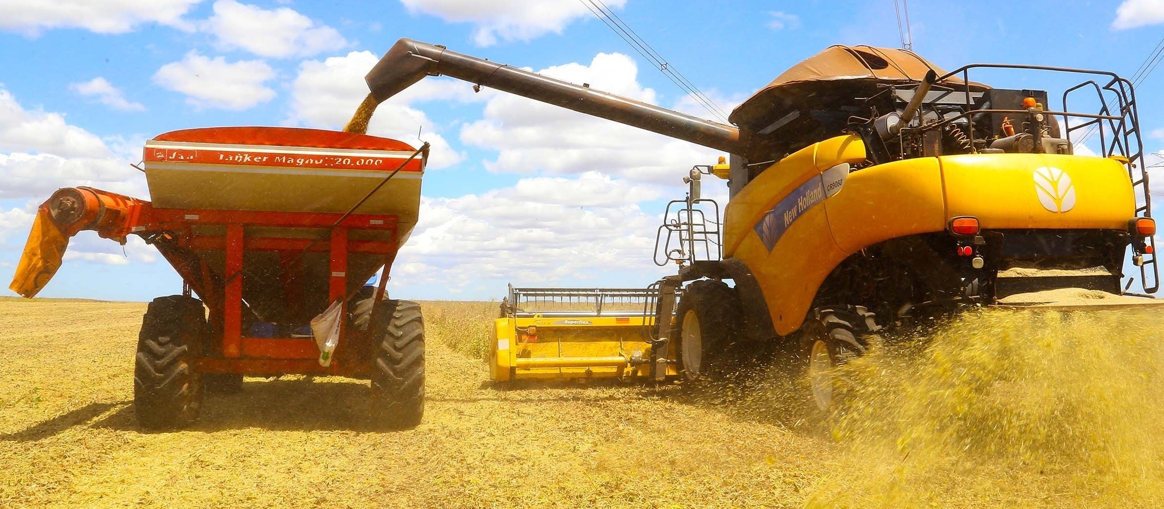 Brasil já colheu 10% da área cultivada de soja