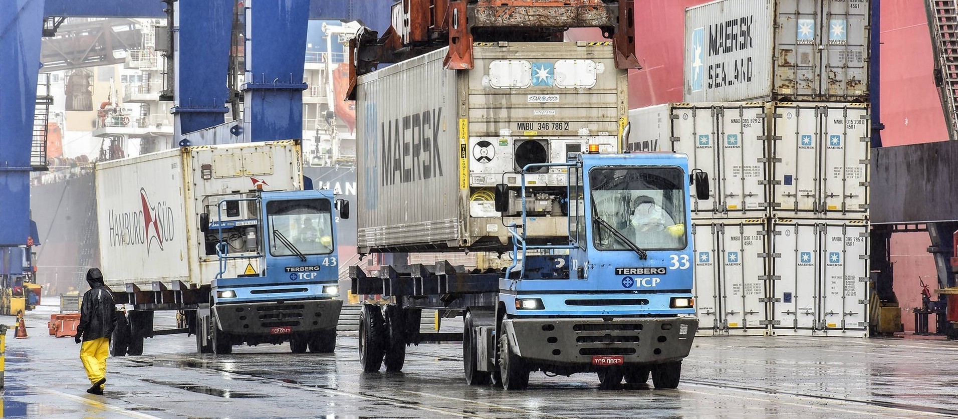 Exportações de carne pelo Porto de Paranaguá têm aumento em relação a 2018