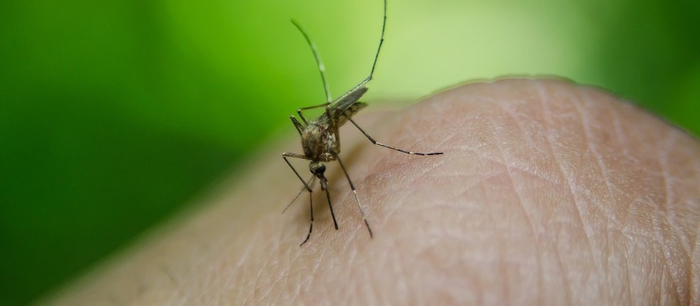 Cascavel tem 131 casos de dengue confirmados