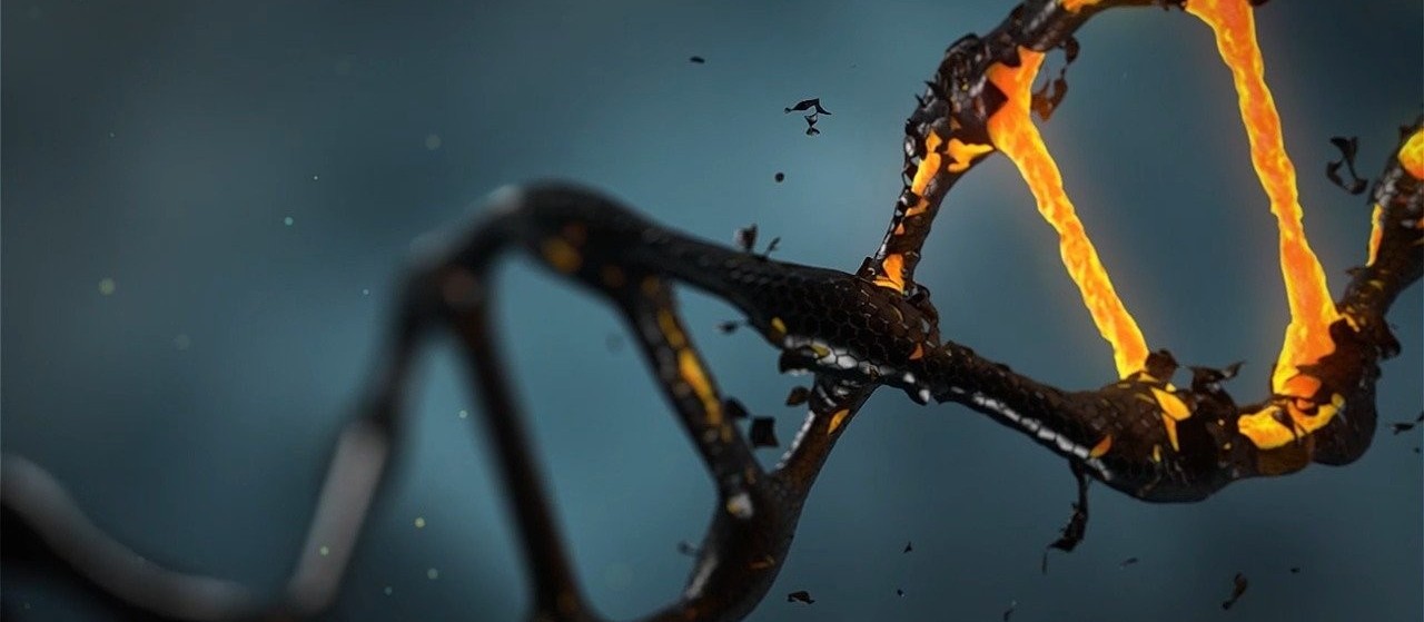 Exame de DNA será realizado de graça no Paraná