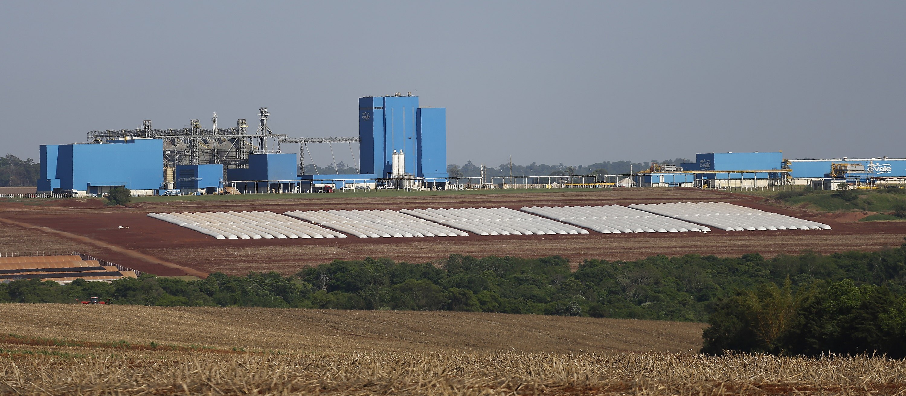 BRDE destina recursos para apoiar construção da esmagadora de soja da C.Vale