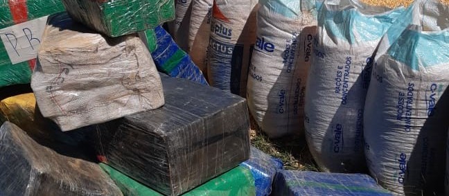 PRF já apreendeu 106 toneladas de maconha no Paraná, em 2020