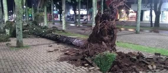Defesa Civil alerta para risco de chuva intensa e raios