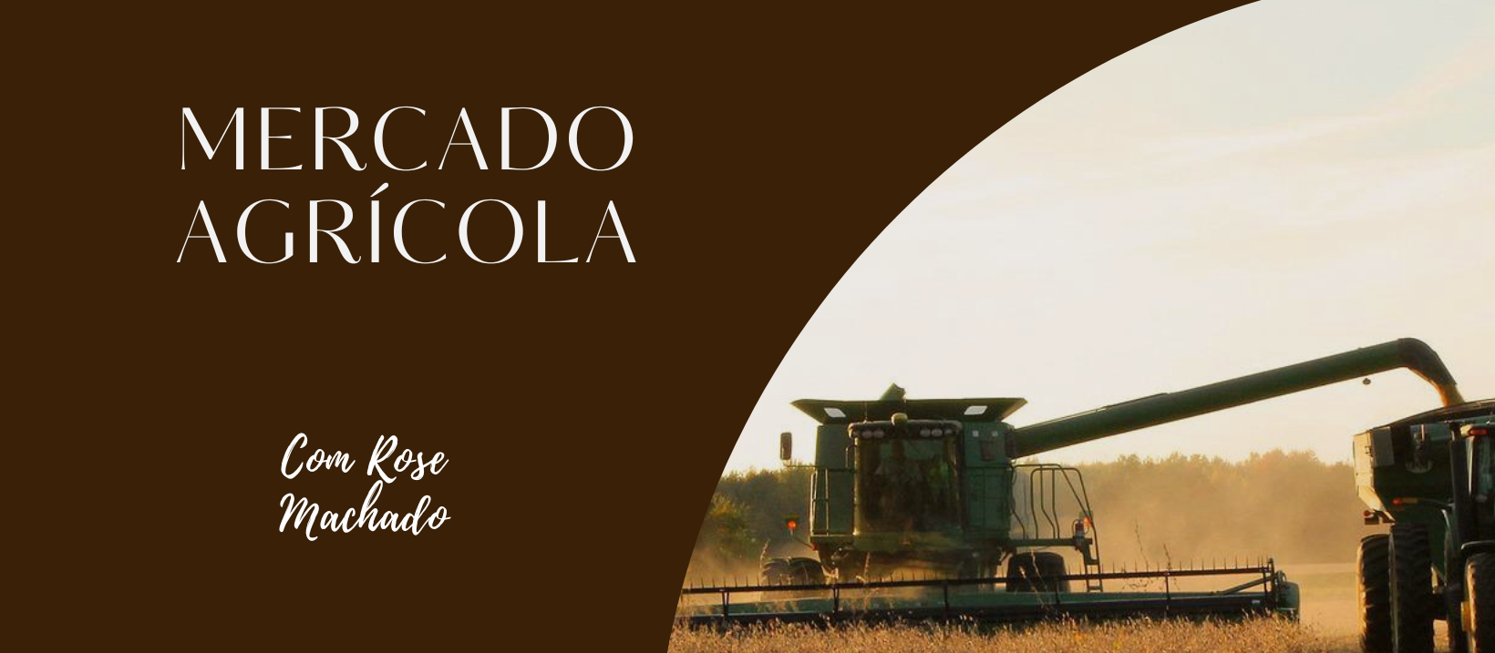 Confira o Mercado Agrícola