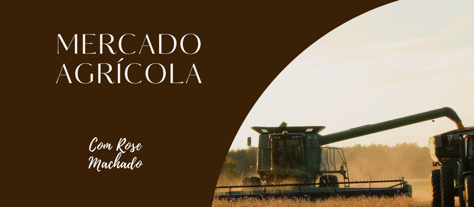 Confira o Mercado Agrícola 