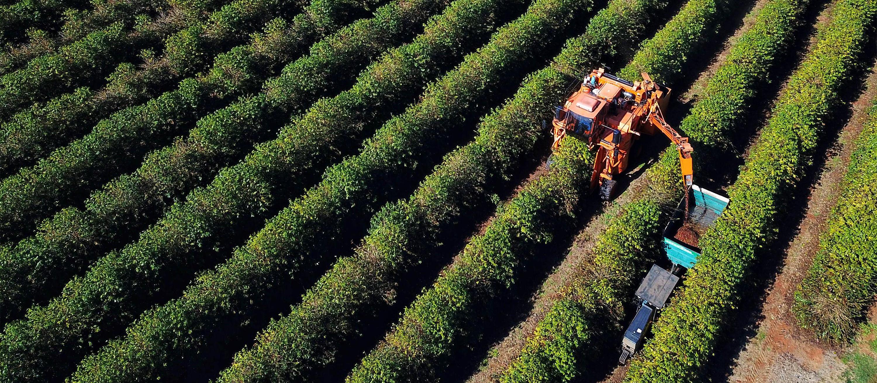Agronegócio somou R$ 1,26 bilhão em contratações do BRDE no Paraná em 2025