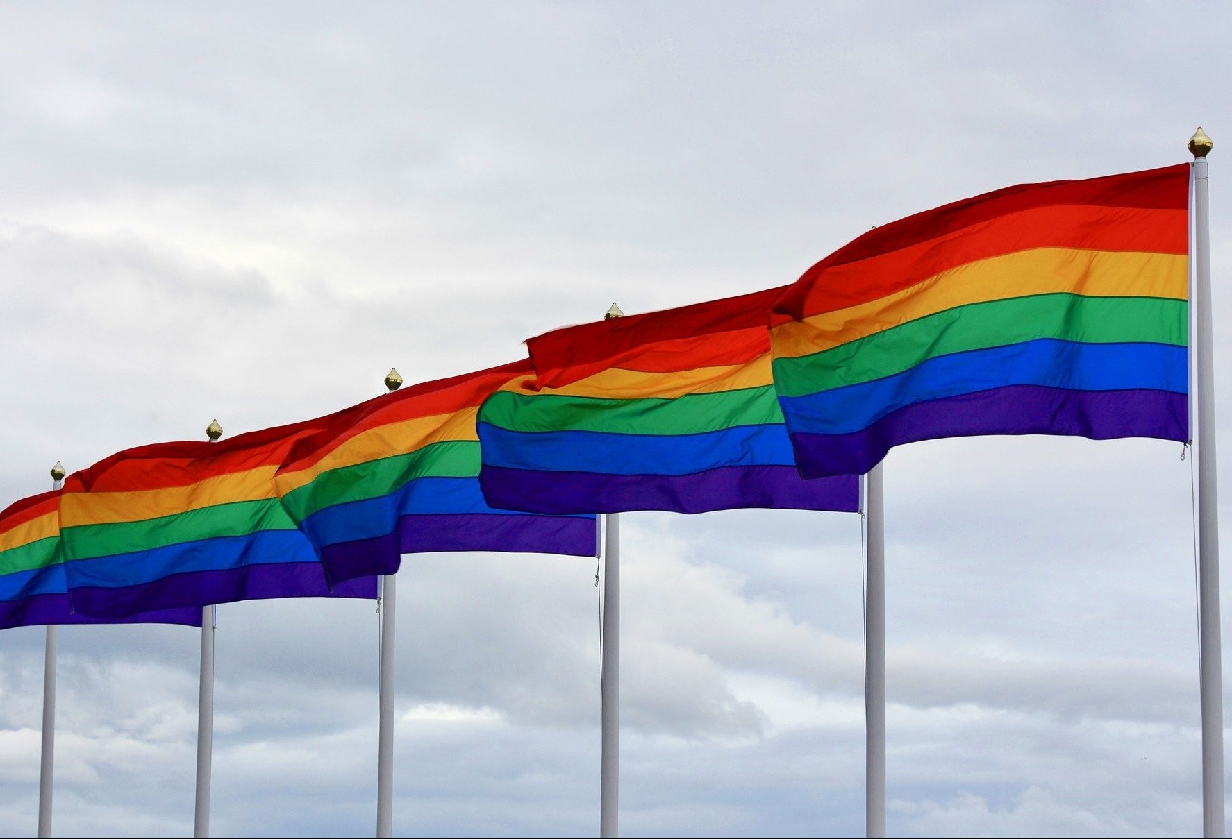 Dia Nacional do Orgulho LGBTI: Data Celebra a luta por respeito e direitos iguais