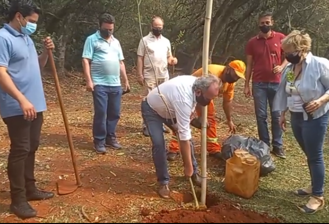 Dia da Árvore é comemorado com plantio de ipês no Lago Municipal 