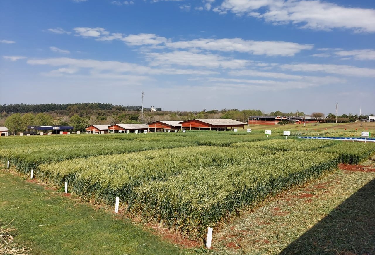 Show Rural Coopavel de Inverno começa  neste dia 23