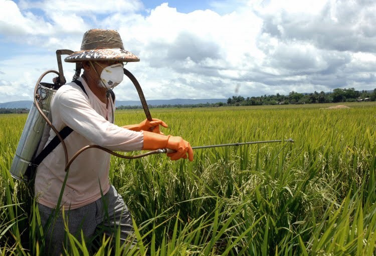 Bolsonaro libera mais 42 agrotóxicos