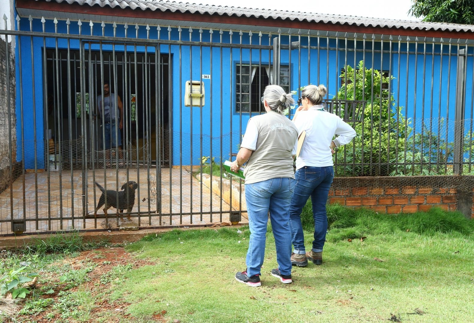 Saúde alerta: Cascavel pode entrar em epidemia de Dengue