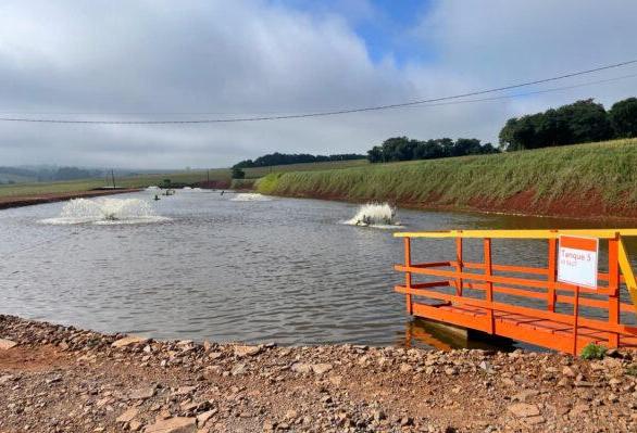 Adapar inicia projeto de biosseguridade na produção de tilápia com instituto da Noruega