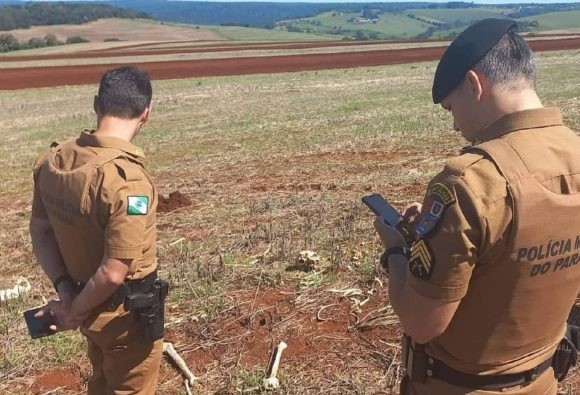 Ossada é encontrada em Santa Tereza do Oeste 