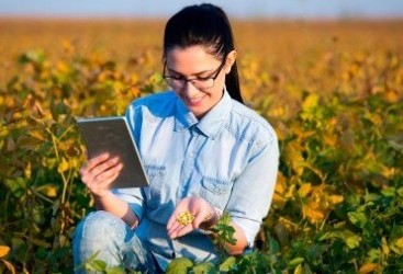 IBGE: Cresce participação feminina no campo