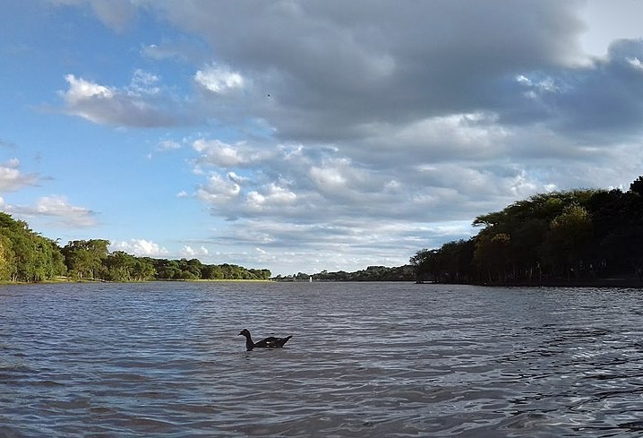 Secretaria Municipal de Meio Ambiente fará ações no Dia do Rio 