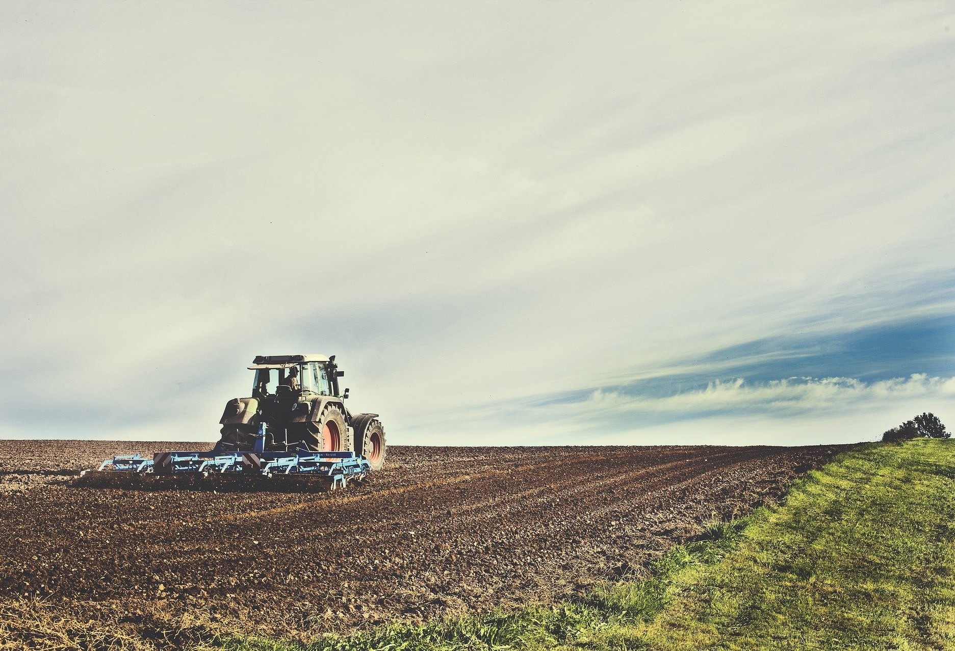 Confira o Mercado Agrícola desta sexta-feira (11)