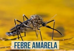 Dia D - Vacinação contra febre amarela