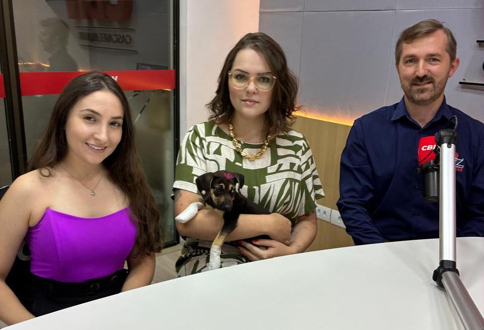 Foz Tintas cria cores inspiradas em cães de abrigo para apoiar causa animal