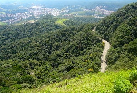 MP deflagra nova etapa de operação contra desmatamento