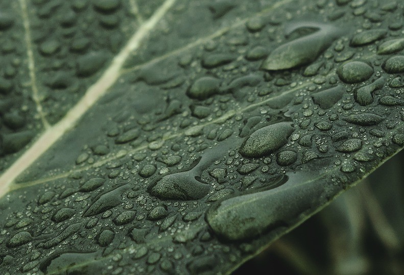 Clima quente com possibilidade de chuvas ocasionais 