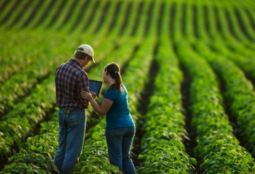  Decreto permite aos técnicos agrícolas o desenvolvimento de projetos sem limite de valor