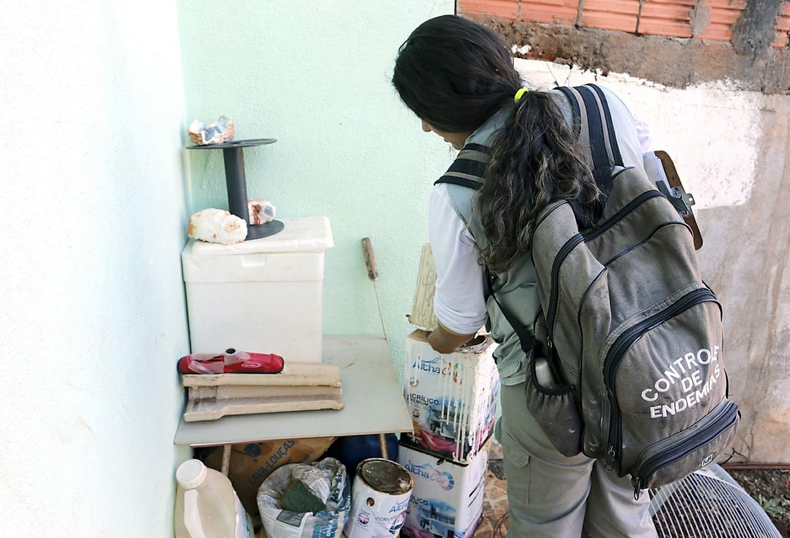 LirAa aponta maior infestação na região Oeste de Cascavel