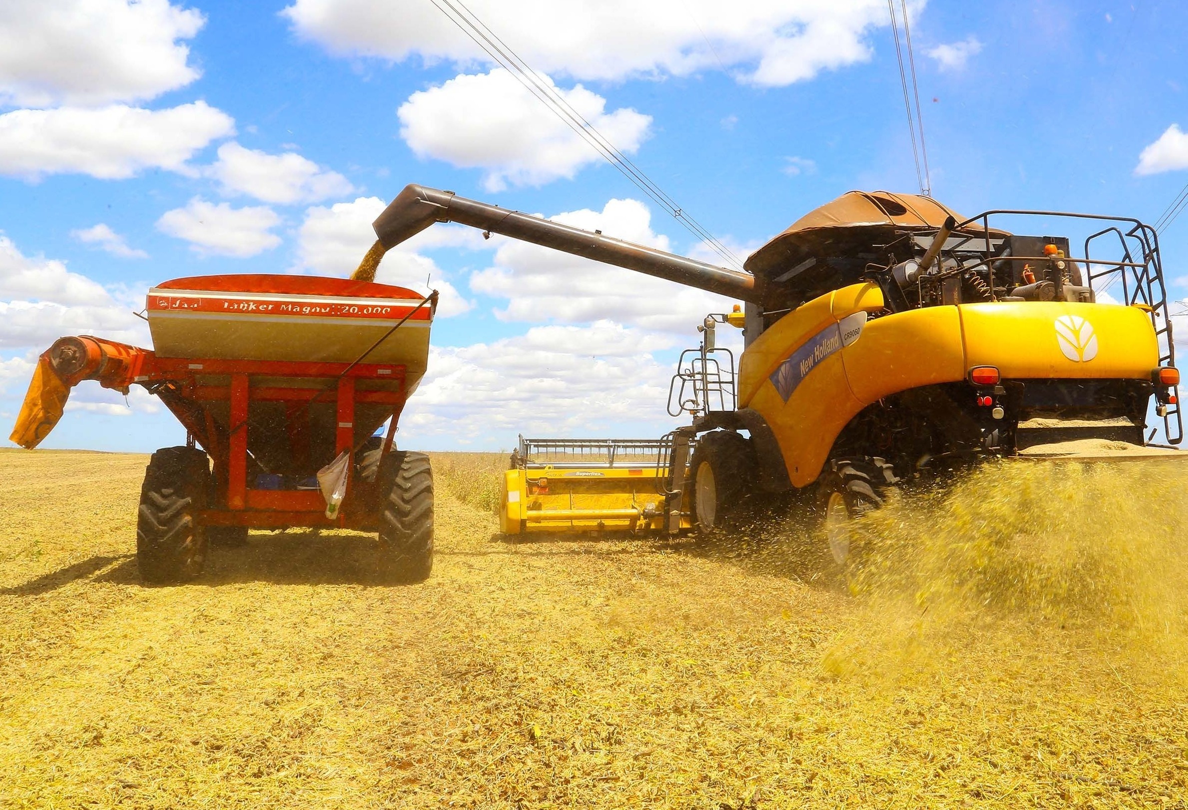 Brasil já colheu 10% da área cultivada de soja