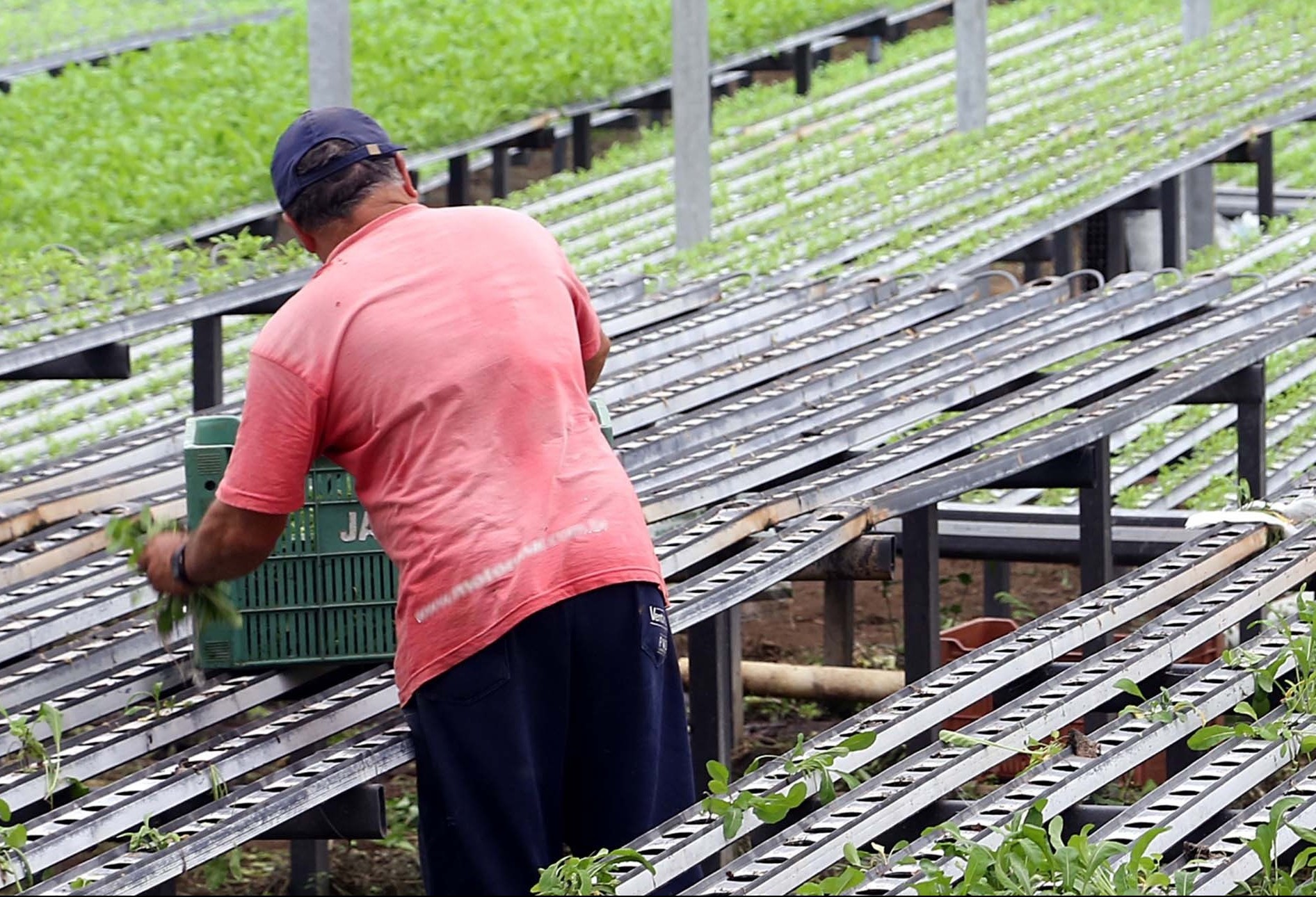 Governo estadual pede ajuda para produtores rurais paranaenses