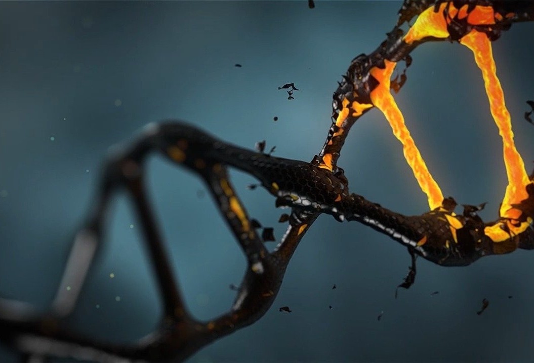Exame de DNA será realizado de graça no Paraná