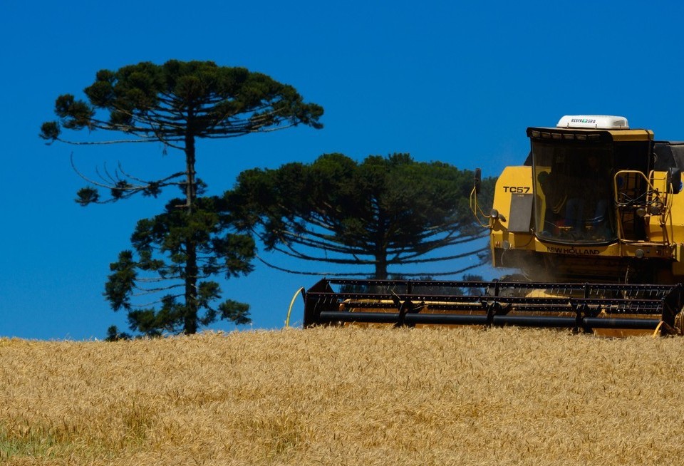 PIB do Paraná apresenta crescimento de 2,3% no primeiro trimestre de 2020