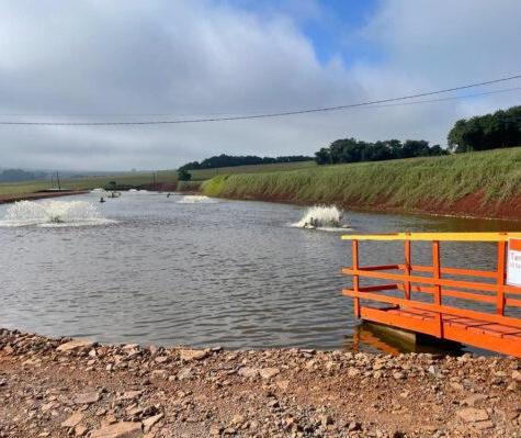 Adapar inicia projeto de biosseguridade na produção de tilápia com instituto da Noruega