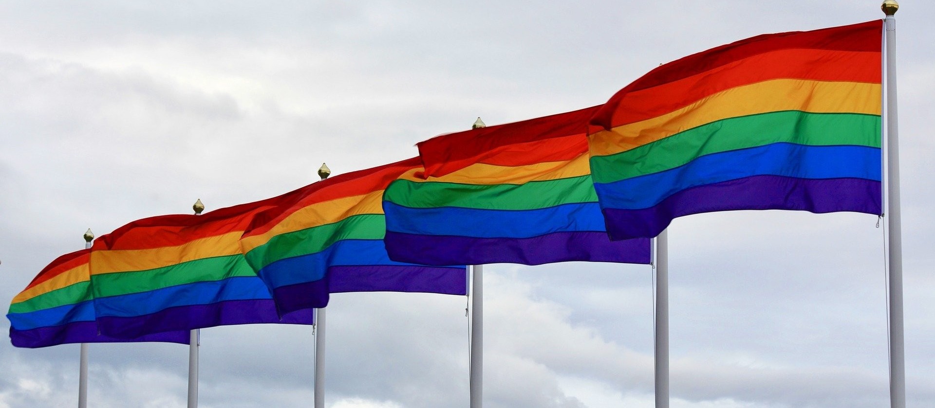 Dia Nacional do Orgulho LGBTI: Data Celebra a luta por respeito e direitos iguais