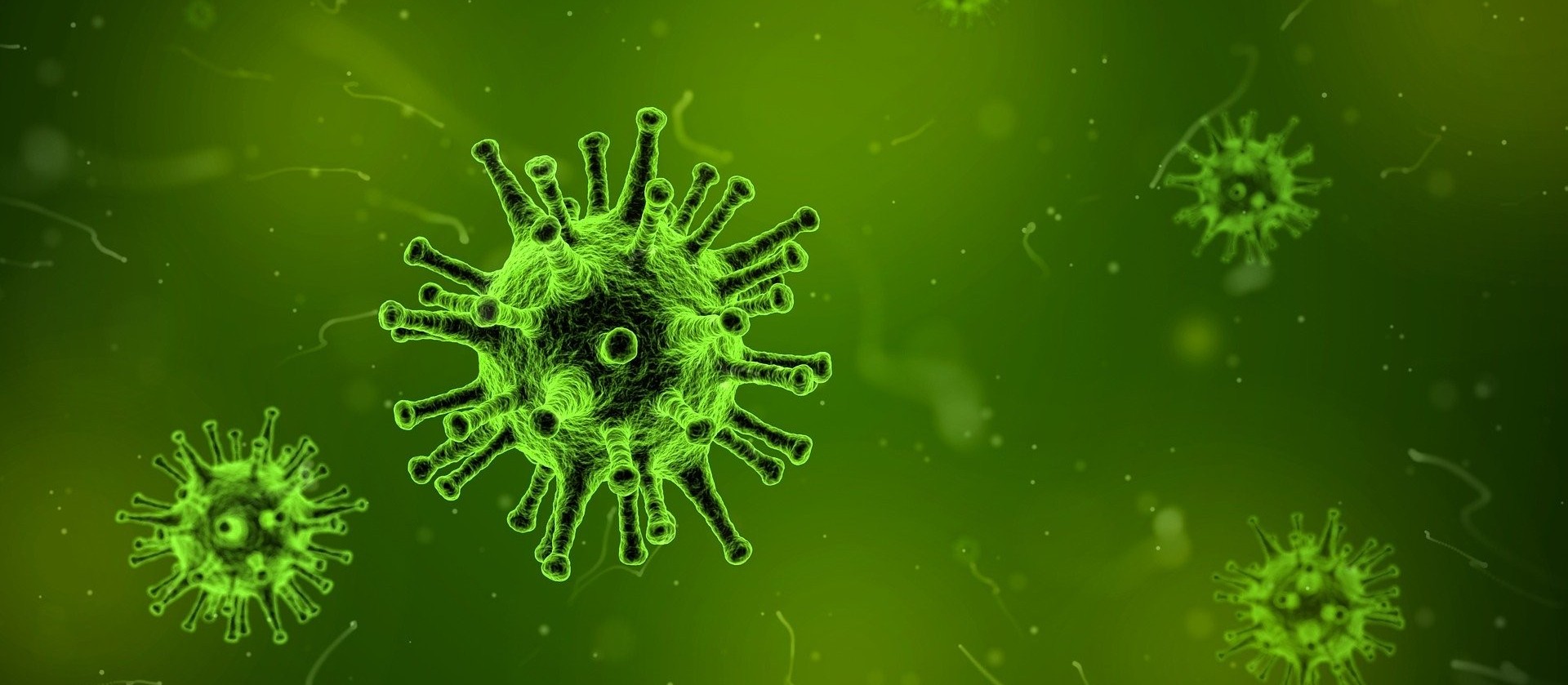 Universitários da área de saúde vão antecipar formatura para combater coronavírus
