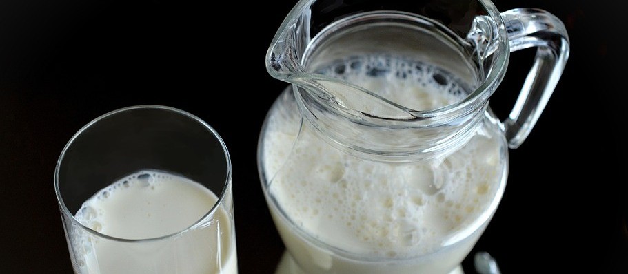 Brasil é 4º maior produtor de leite do mundo 